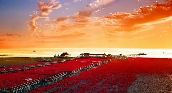 Red beach panjin china